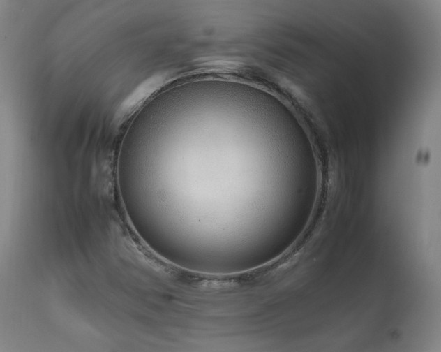 X0000111811354200907231224