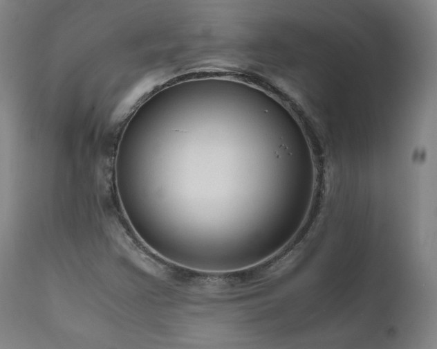 X0000111811355200907231224