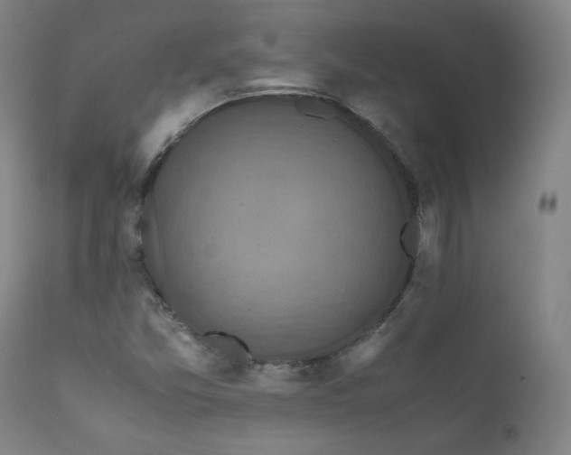 X0000111811357200907231224