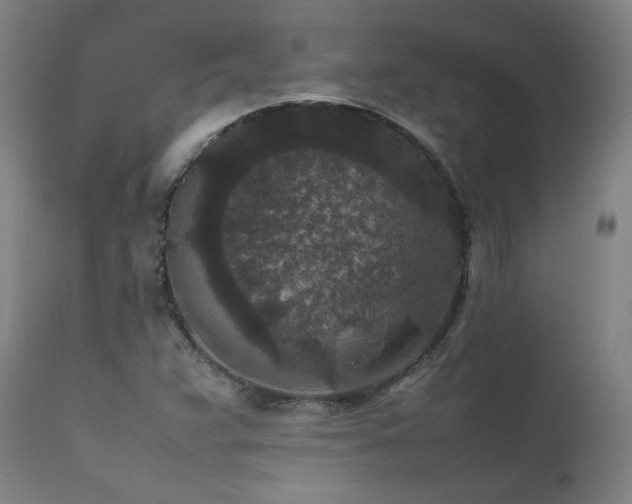 X0000111811359200907231224
