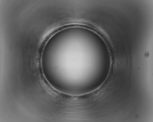 X0000111811360200907231224