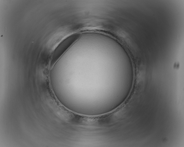 X0000111811361200907231224