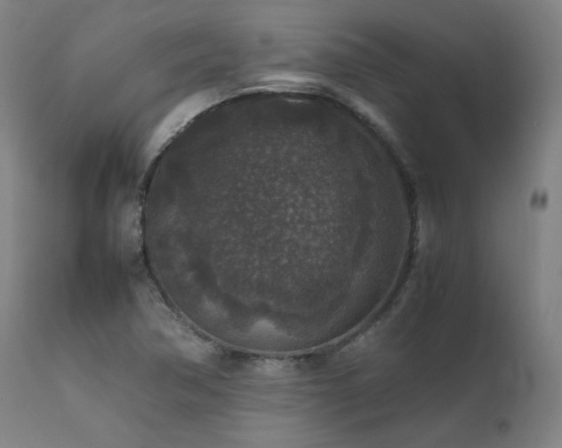 X0000111811362200907231224