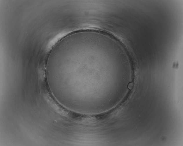 X0000111811363200907231224