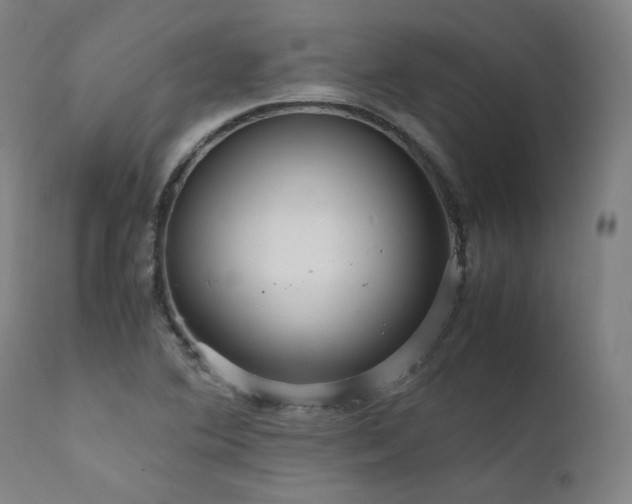 X0000111811364200907231224