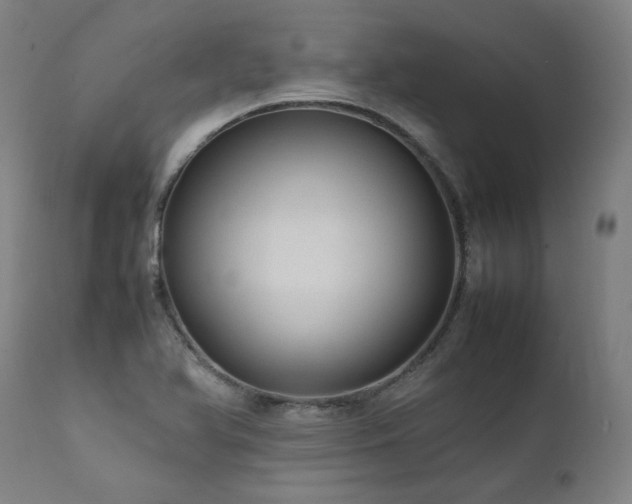 X0000111811366200907231224