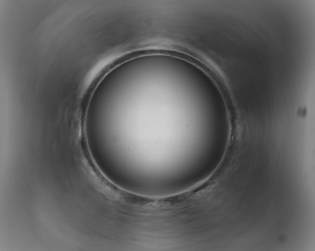 X0000111811368200907231224