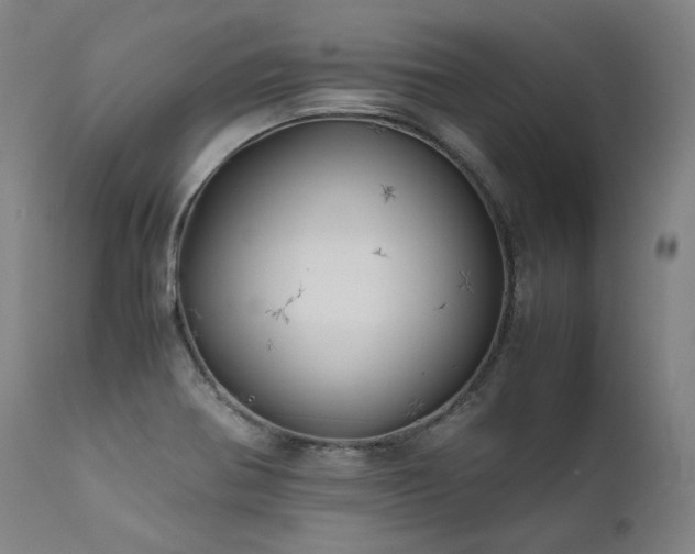 X0000111811370200907231224