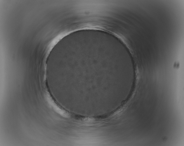 X0000111811371200907231224