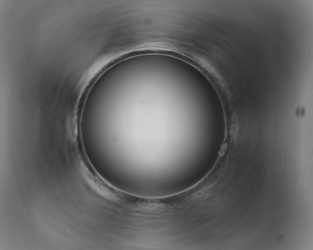 X0000111811372200907231224