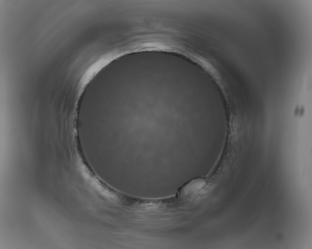X0000111811373200907231224