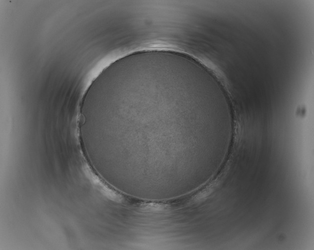 X0000111811374200907231224