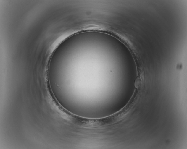 X0000111811375200907231224