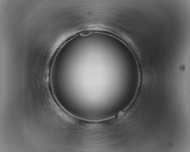 X0000111811376200907231224