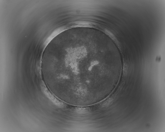 X0000111811378200907231224