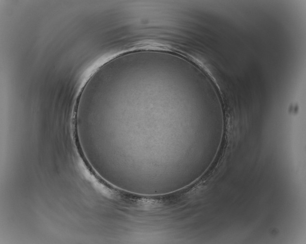 X0000111811379200907231224