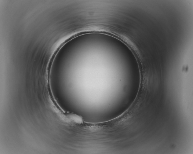 X0000111811380200907231224