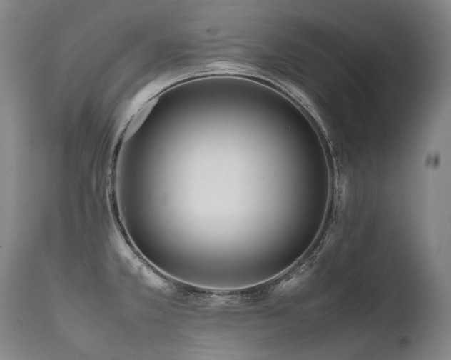 X0000111811381200907231224