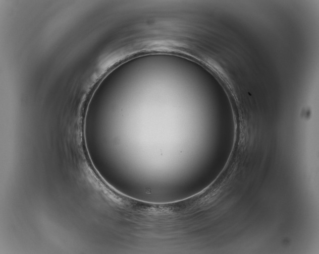 X0000111811384200907231224