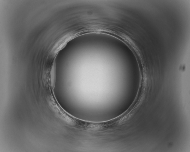 X0000111811385200907231224