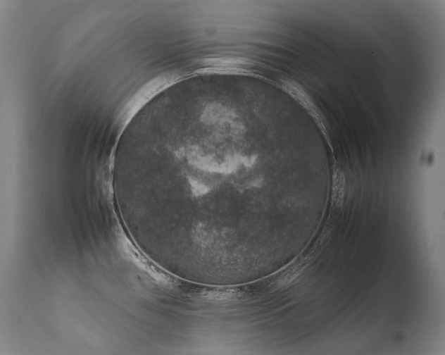 X0000111811386200907231224