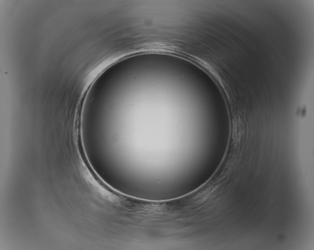 X0000111811387200907231224