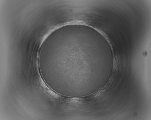 X0000111811390200907231223