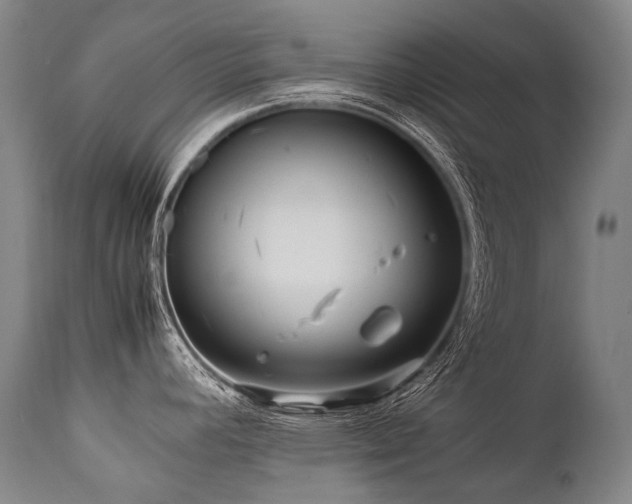 X0000111811392200907231223