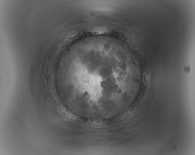 X0000111811393200907231223