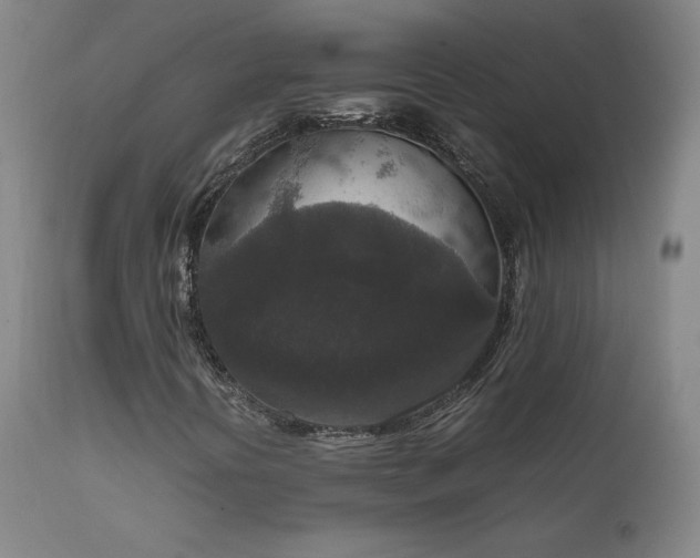 X0000111811394200907231223