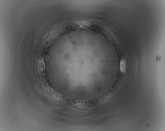 X0000111811395200907231223