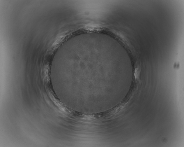 X0000111811396200907231223