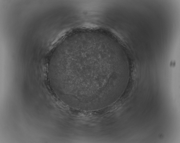 X0000111811397200907231223