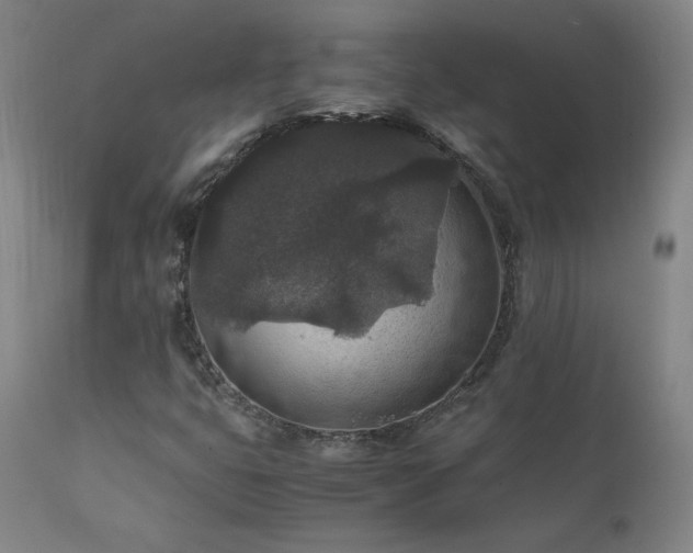 X0000111811399200907231223