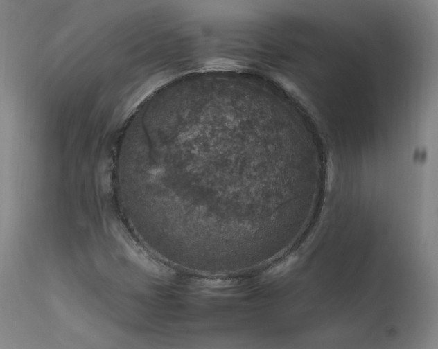 X0000111811401200907231223