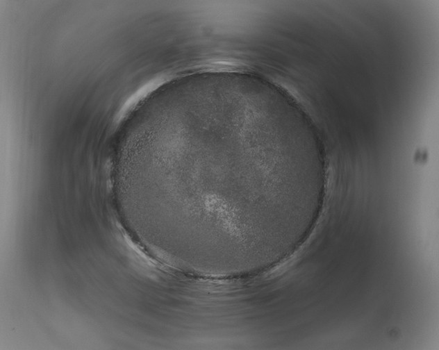 X0000111811402200907231223