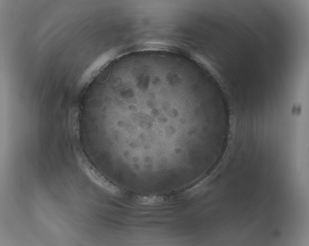 X0000111811403200907231223