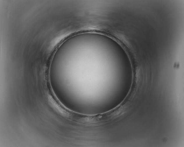 X0000111811404200907231223