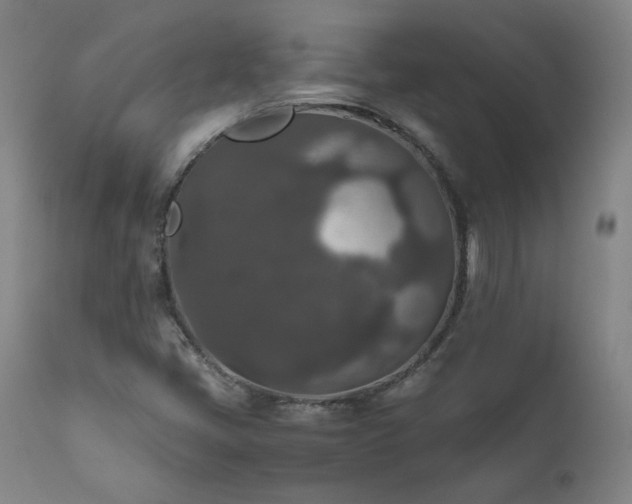 X0000111811405200907231223