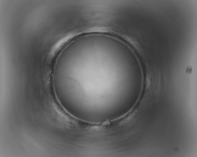 X0000111811406200907231223