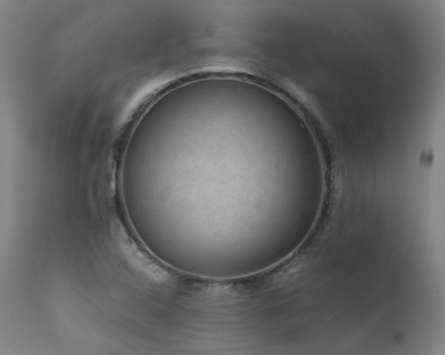 X0000111811408200907231223