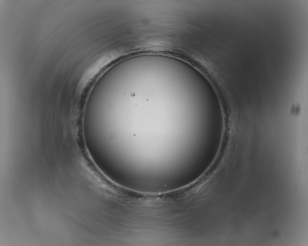 X0000111811410200907231223