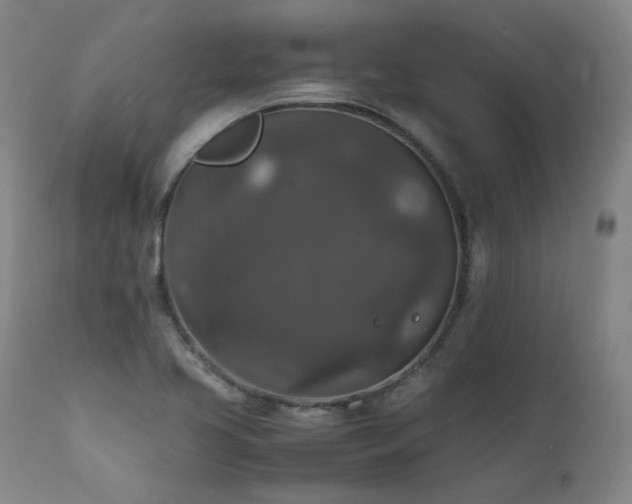 X0000111811413200907231223