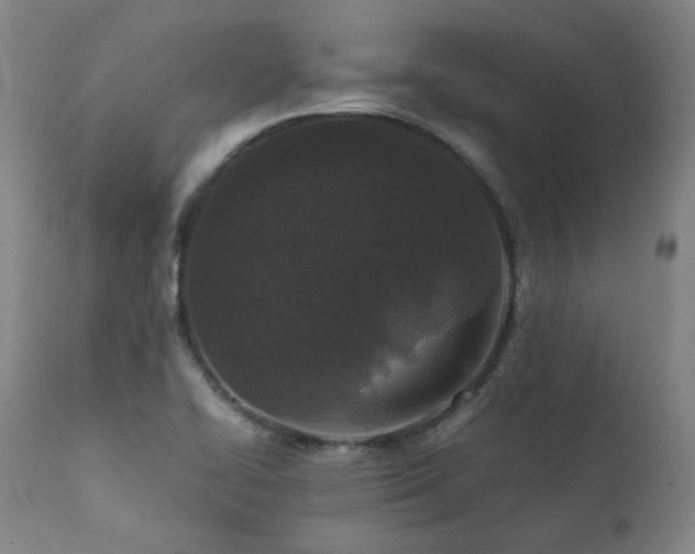 X0000111811414200907231223