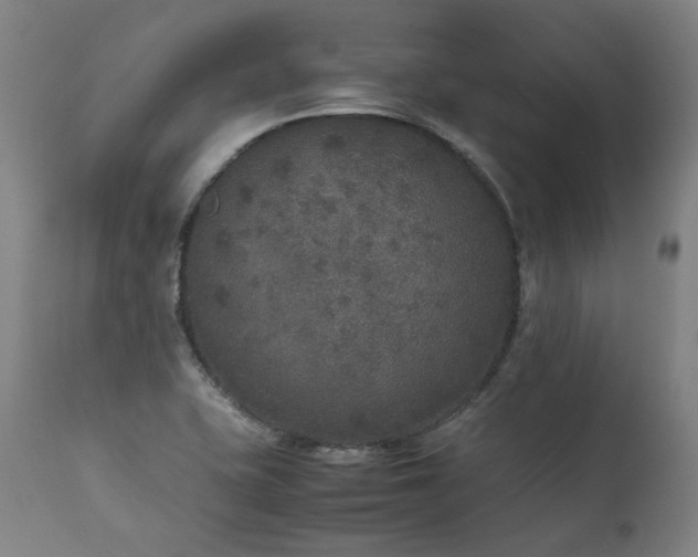 X0000111811415200907231223