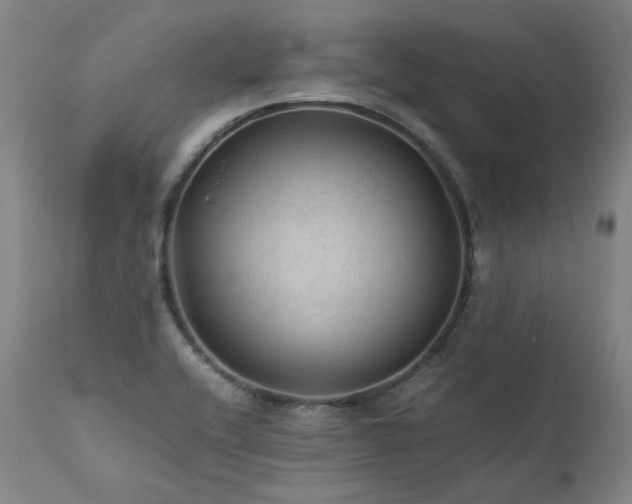 X0000111811416200907231223