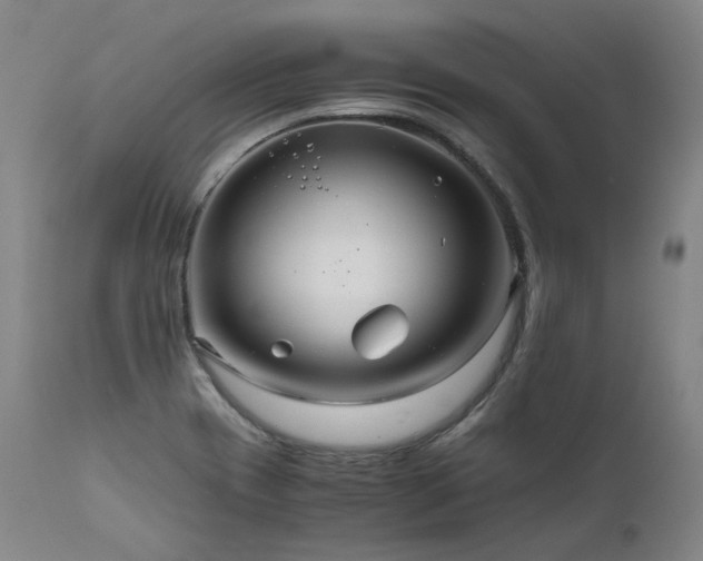 X0000111811417200907231223