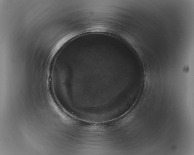 X0000111811418200907231223