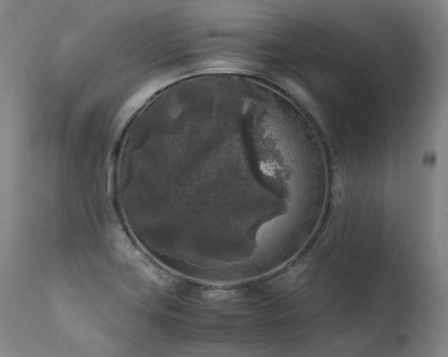 X0000111811419200907231223
