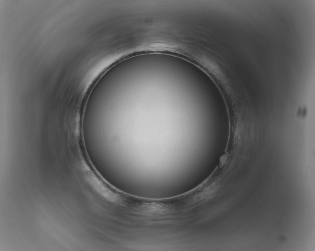 X0000111811420200907231223